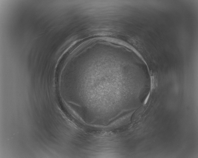 X0000052930243200507292359