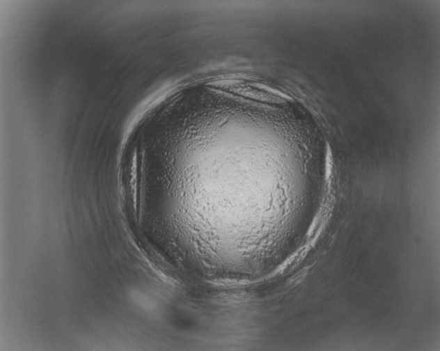 X0000052930245200507292359
