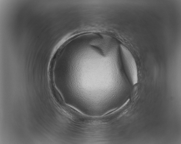 X0000052930246200507292359