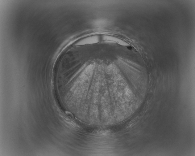 X0000052930247200507292359