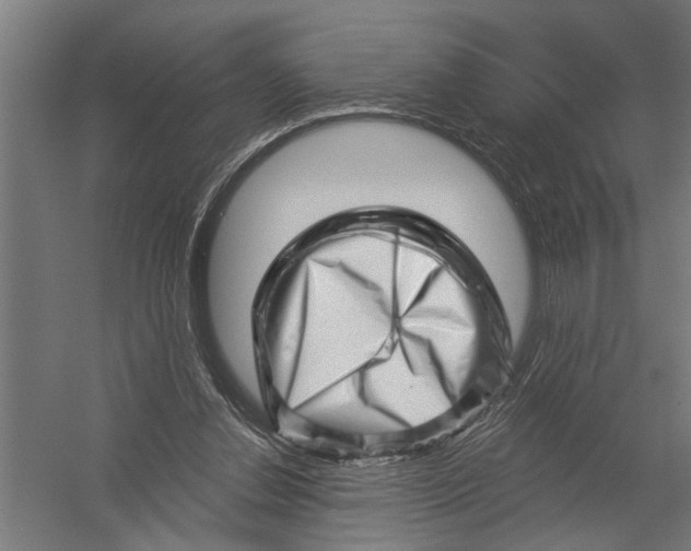 X0000052930252200507292359