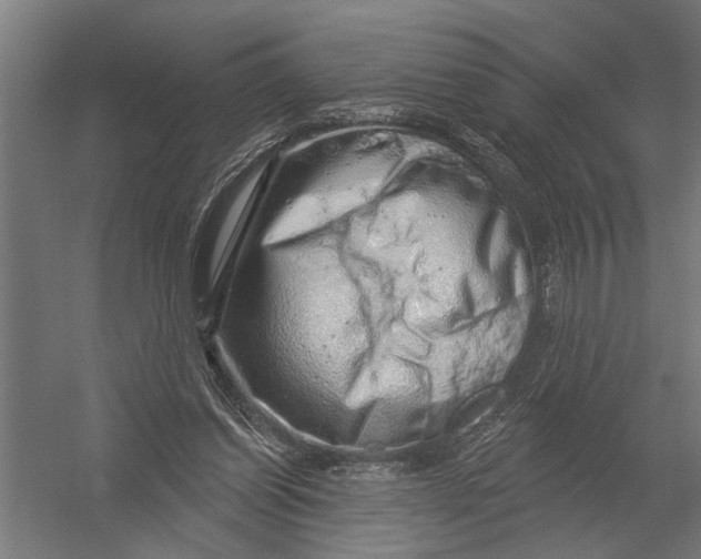 X0000052930254200507292359