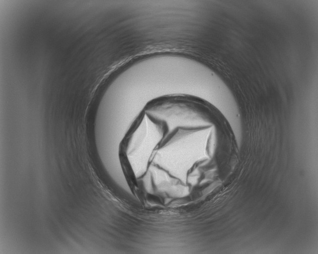 X0000052930256200507292359