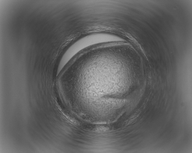 X0000052930257200507300000