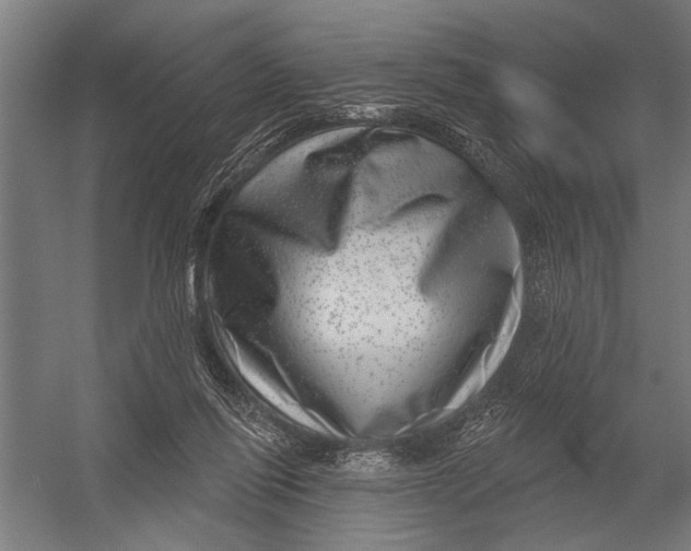 X0000052930262200507300000