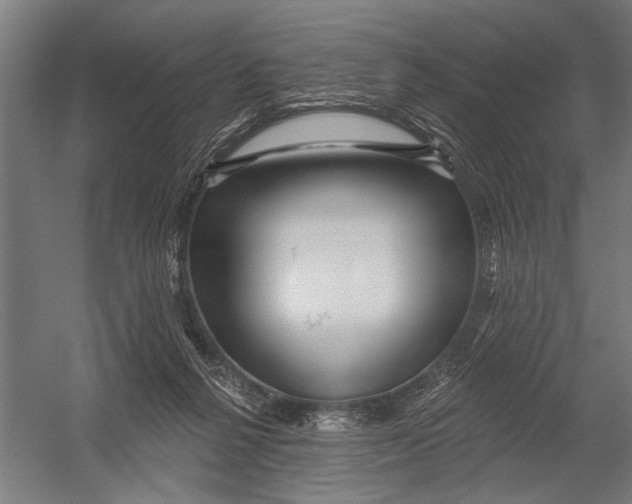 X0000052930264200507300000