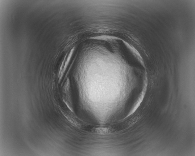 X0000052930265200507300000