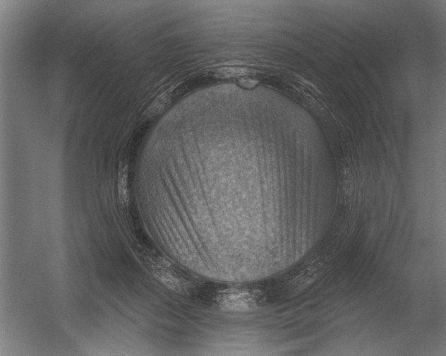 X0000052930267200507300000