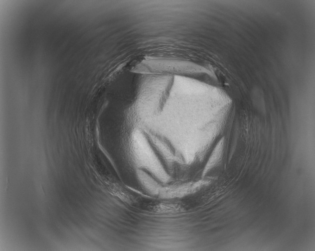 X0000052930270200507300000