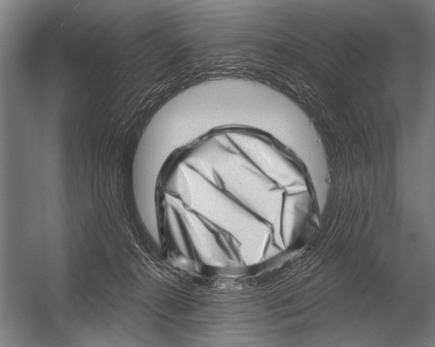 X0000052930272200507300000