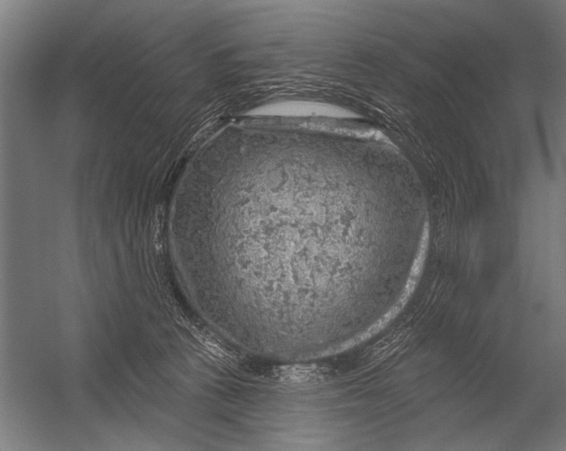 X0000052930273200507300000