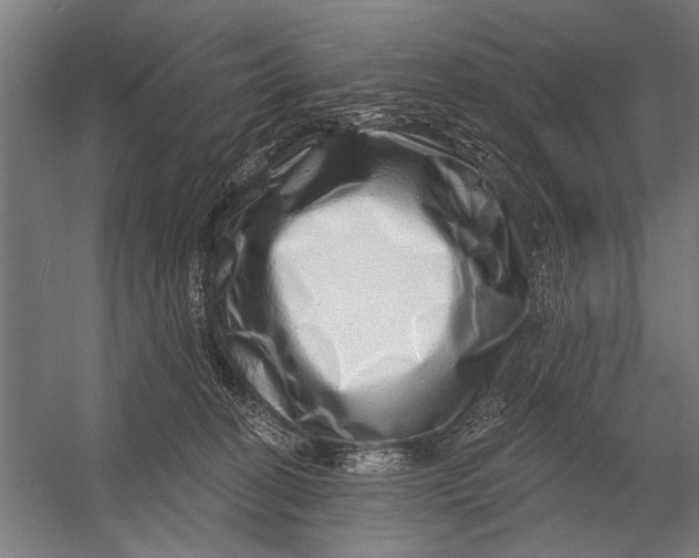X0000052930274200507300000