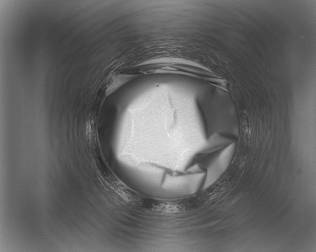 X0000052930276200507300000