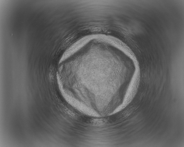 X0000052930277200507300000