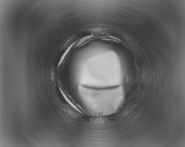 X0000052930282200507300000
