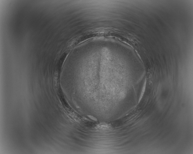 X0000052930283200507300000