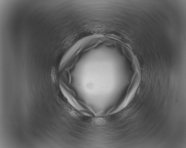 X0000052930287200507300000