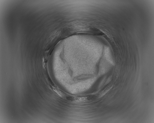 X0000052930288200507300000