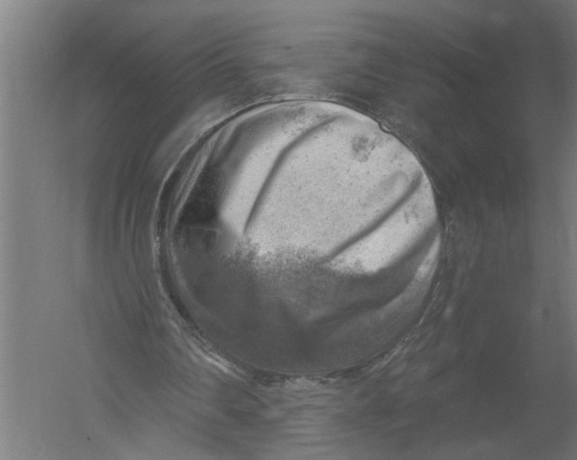 X0000052930290200507292359
