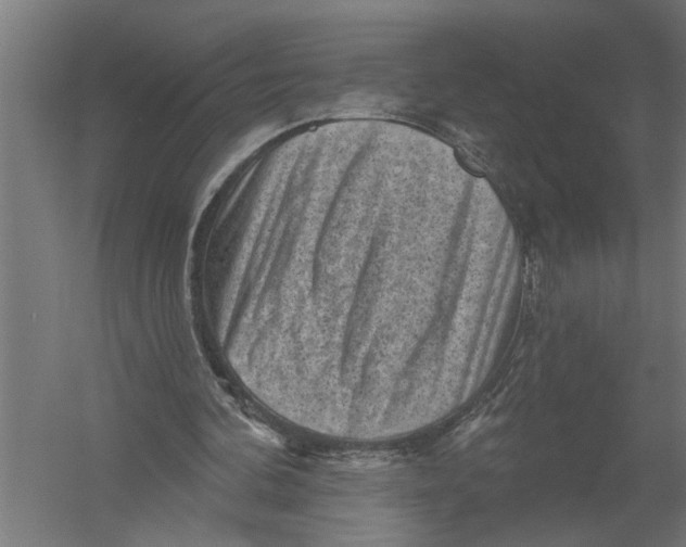 X0000052930292200507292359