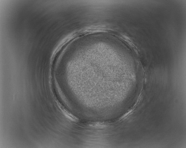 X0000052930293200507292359