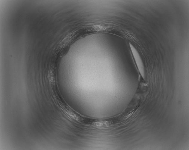 X0000052930317200507292359