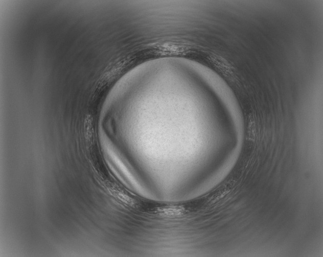 X0000052930318200507292359