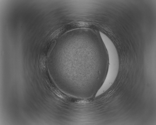 X0000052930325200507292359