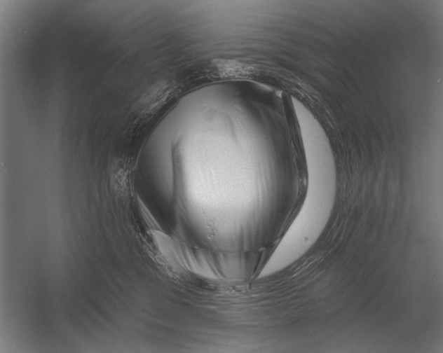 X0000052930329200507292359