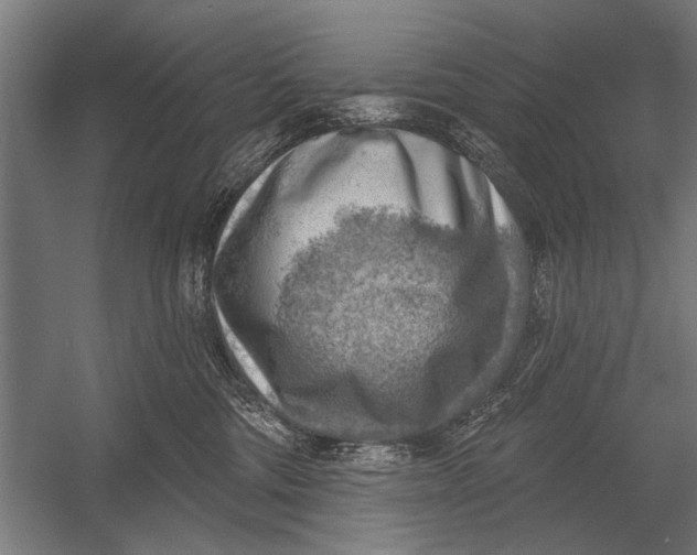 X0000052930330200507292359