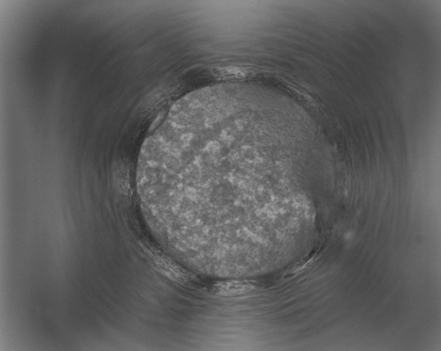 X0000052930331200507292359