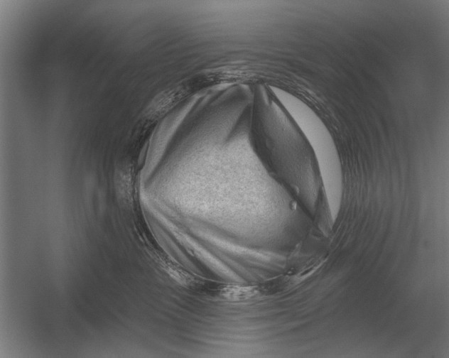 X0000052930333200507292358