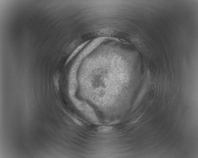 X0000052930334200507292358