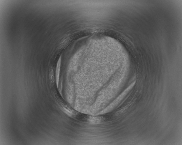 X0000052930336200507292358