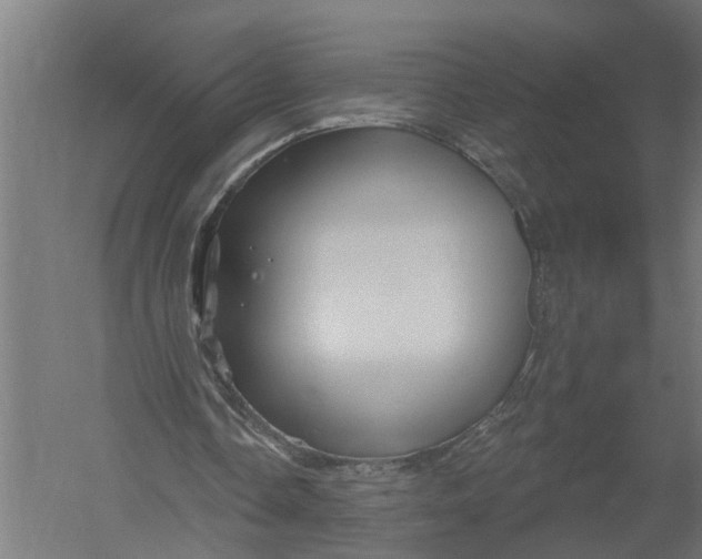 X0000052930338200507292358