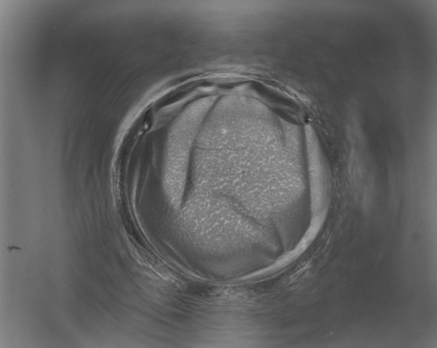 X0000052930343200507292358