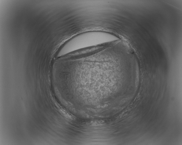 X0000052930345200507292358