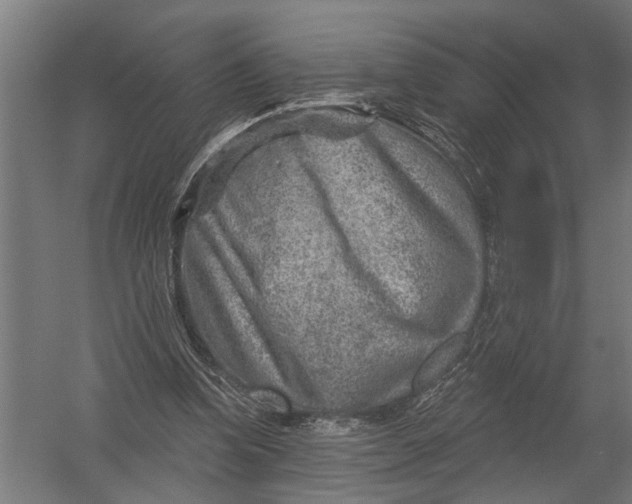 X0000052930346200507292358