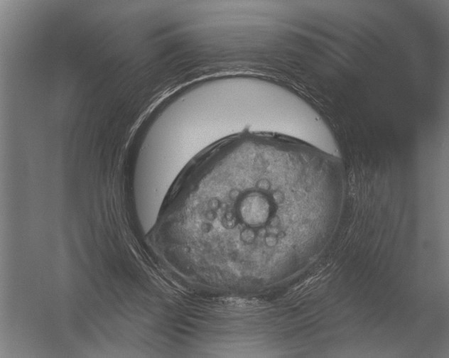 X0000052930347200507292358