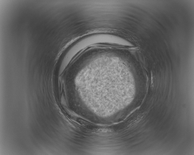 X0000052930348200507292358