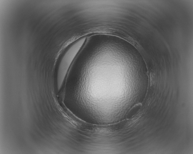 X0000052930349200507292358