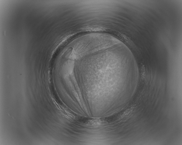 X0000052930351200507292358