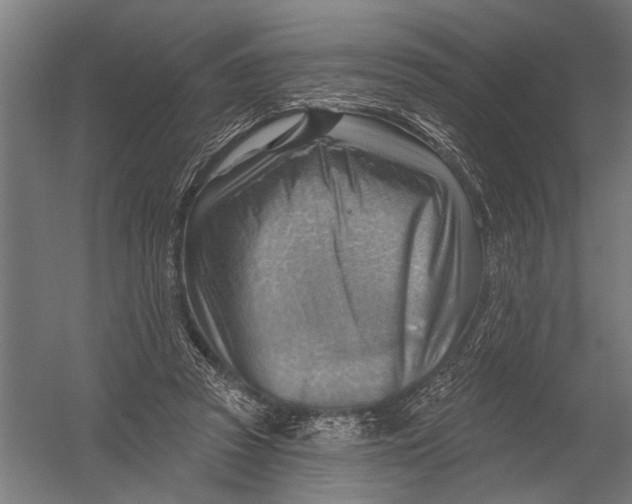 X0000052930353200507292358