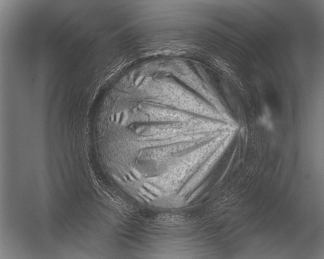 X0000052930354200507292358