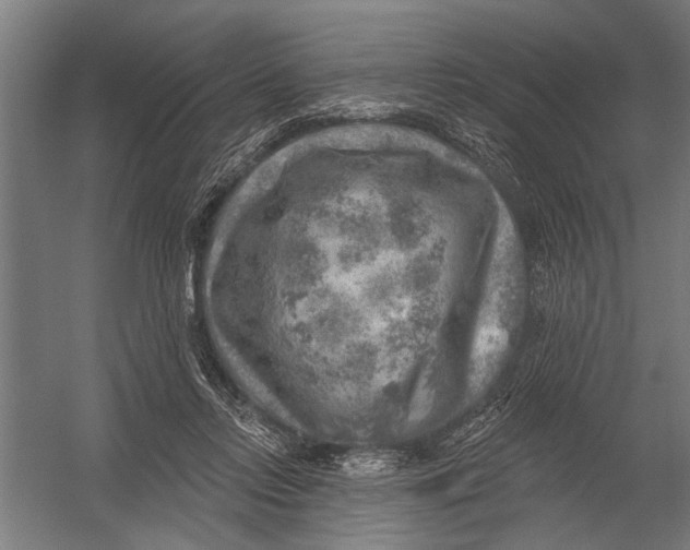 X0000052930358200507292358