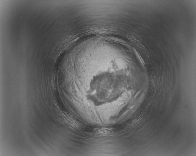 X0000052930359200507292358