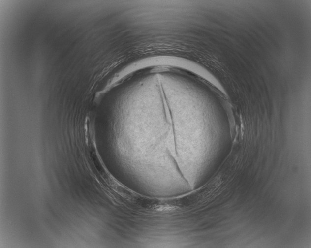 X0000052930360200507292358