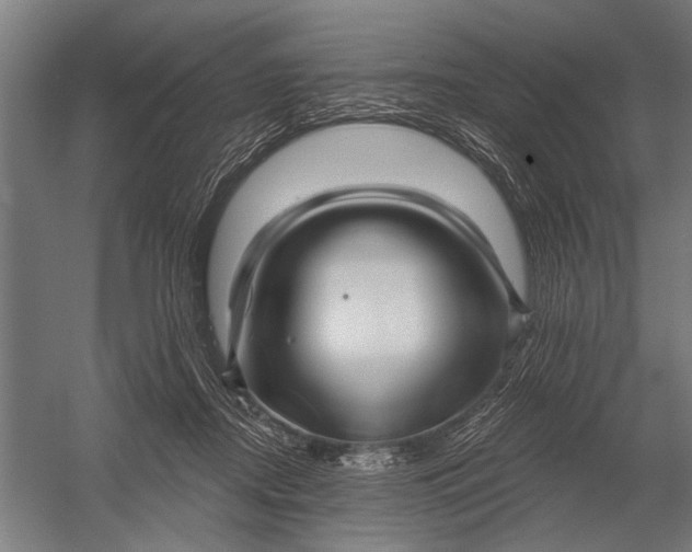 X0000052930362200507292358