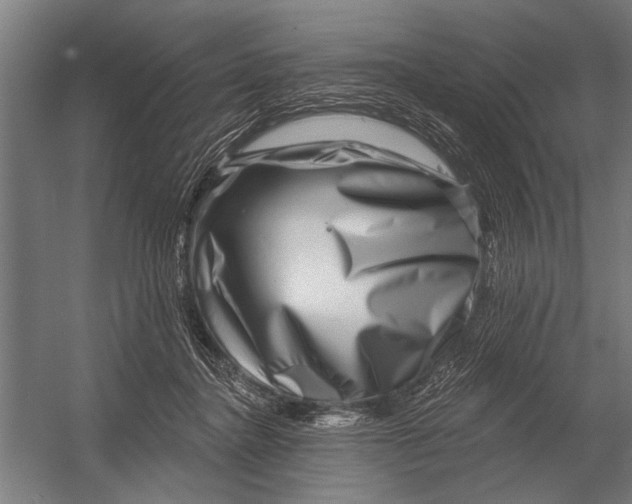 X0000052930364200507292358