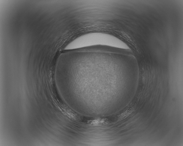X0000052930366200507292358
